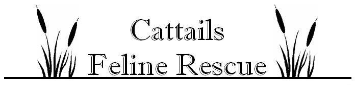 Cattails Feline Rescue Logo